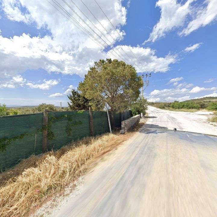 Fotoğraf 11