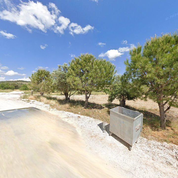 Fotoğraf 12