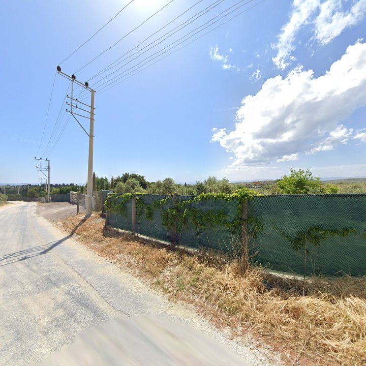 Fotoğraf 10