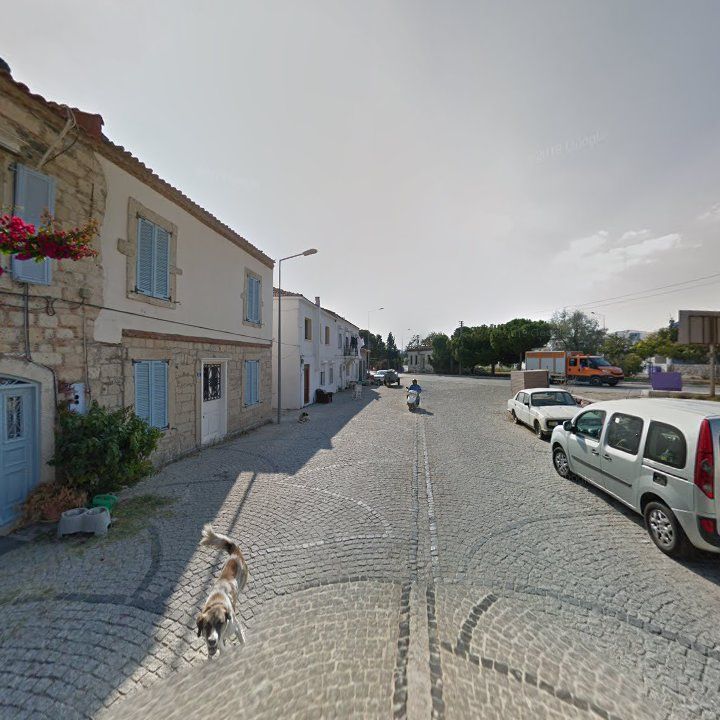 Fotoğraf 10