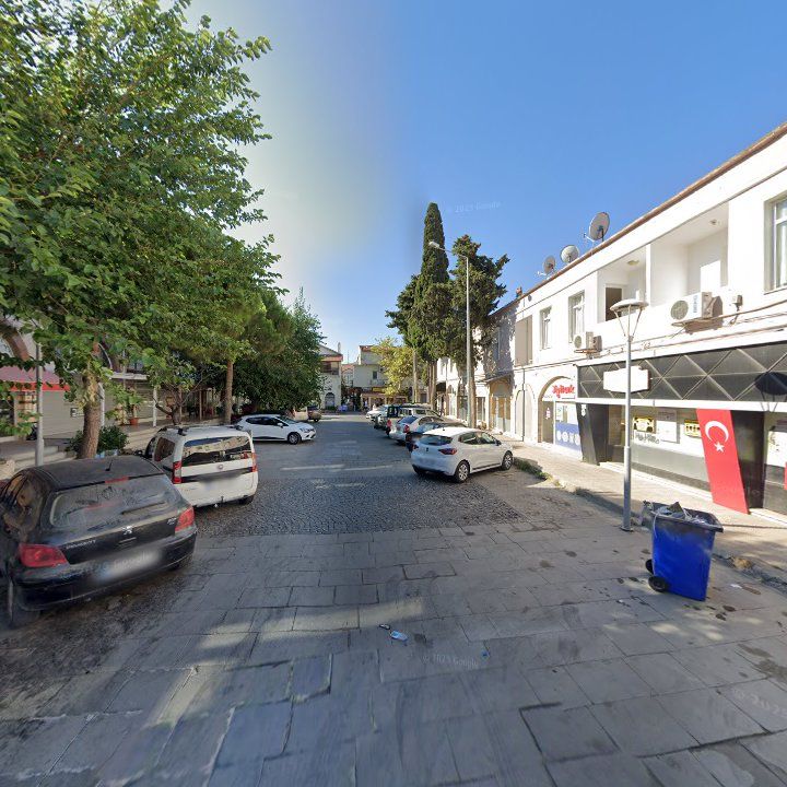 Fotoğraf 8