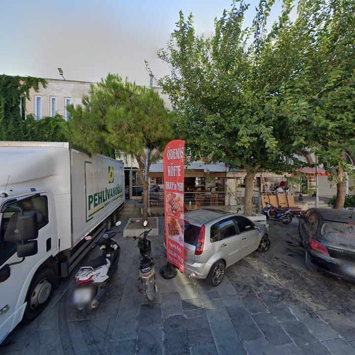 Fotoğraf 7