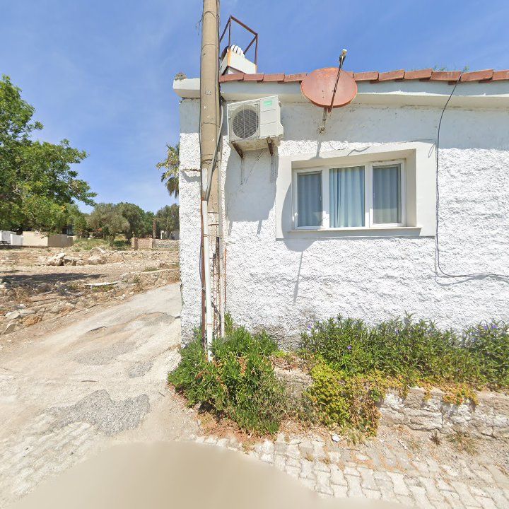 Fotoğraf 11