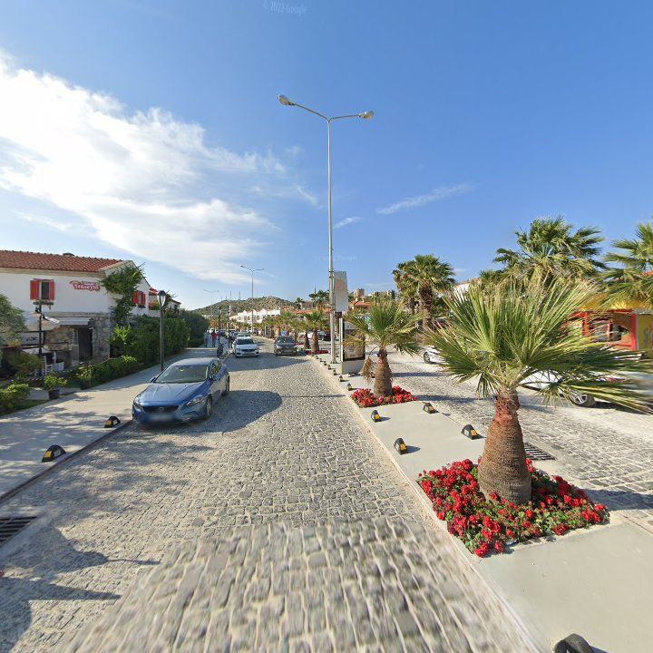 Fotoğraf 14