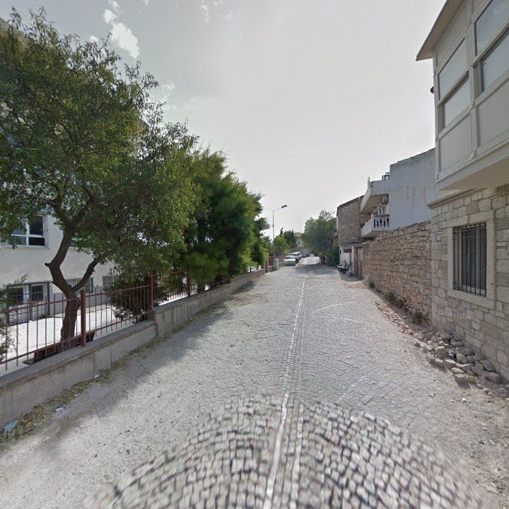 Fotoğraf 10