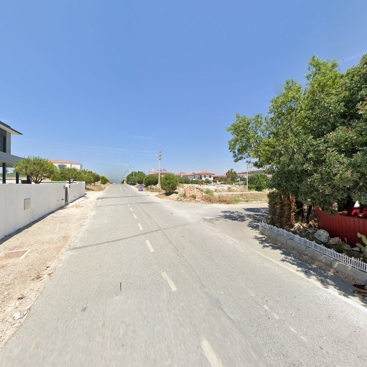 Fotoğraf 10