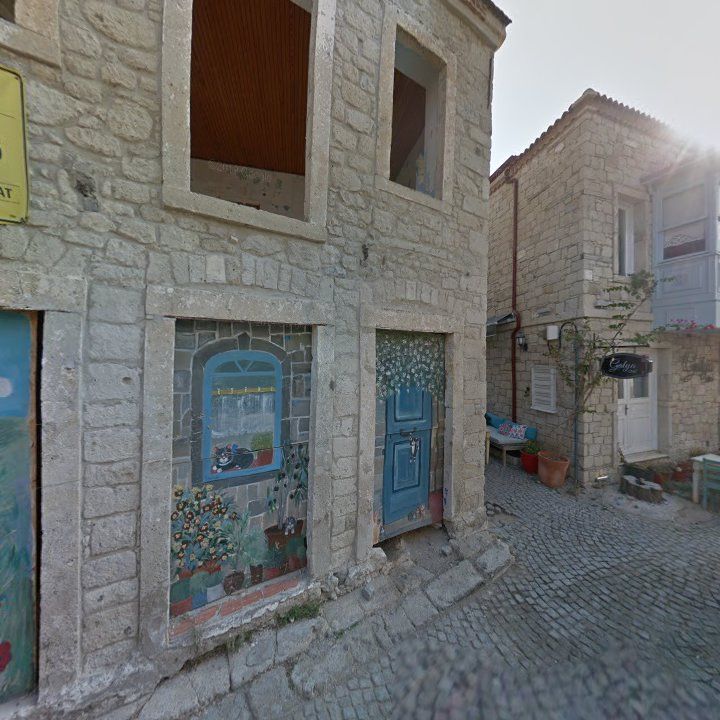 Fotoğraf 9