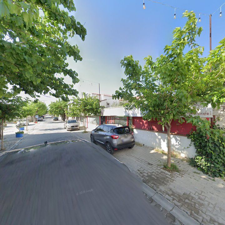 Fotoğraf 12