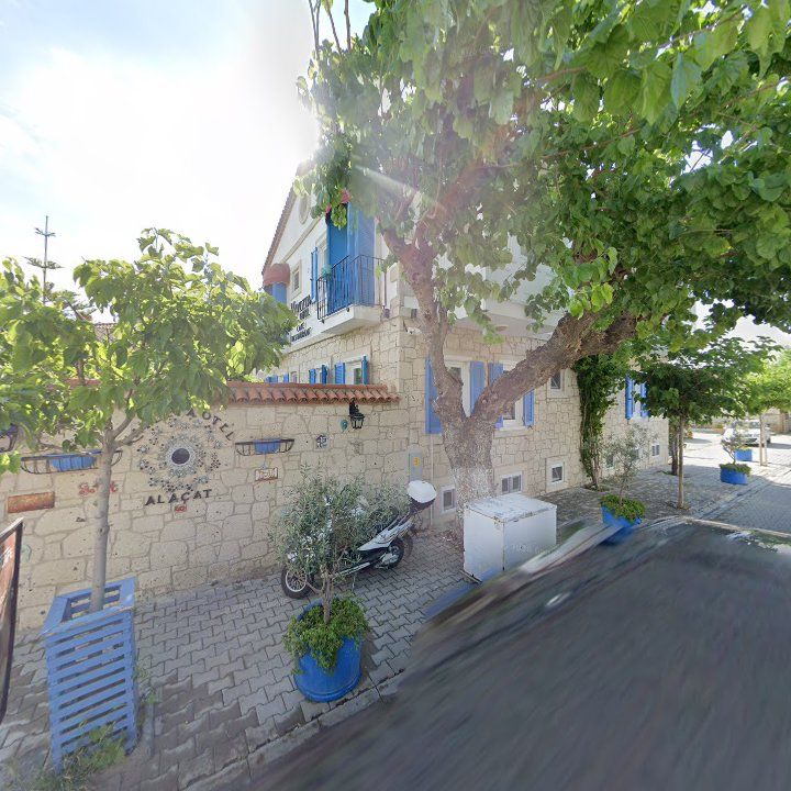 Fotoğraf 11