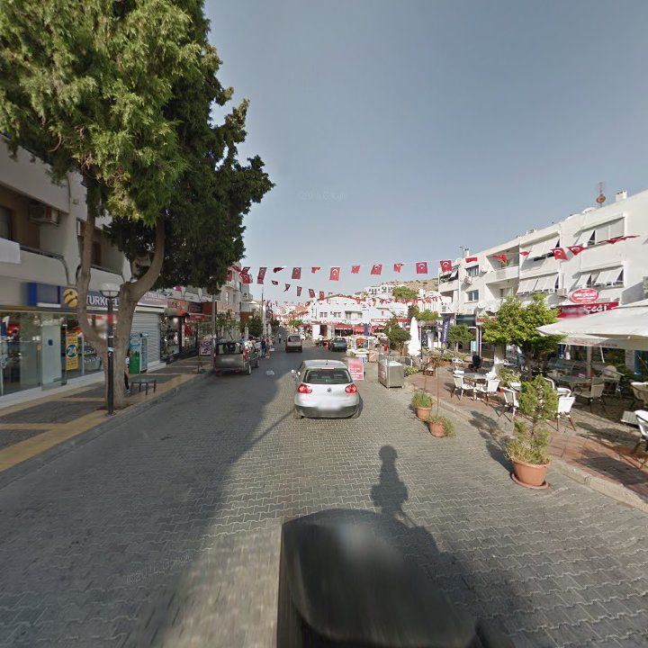 Fotoğraf 8