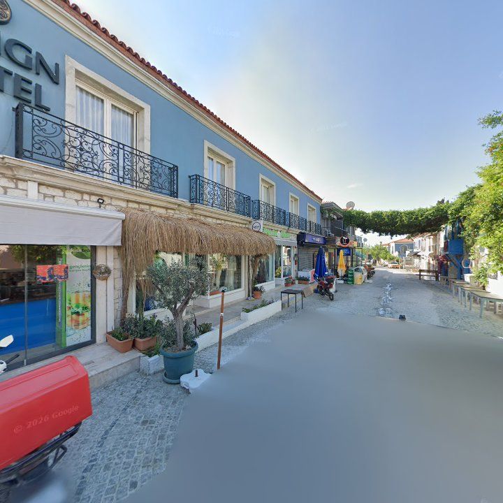 Fotoğraf 12