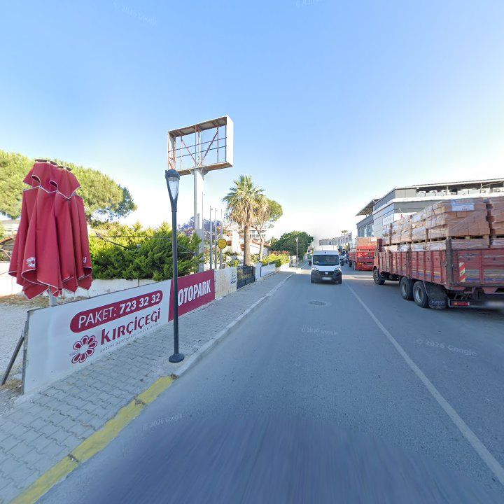Fotoğraf 7