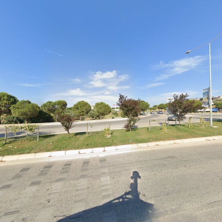 Fotoğraf 10
