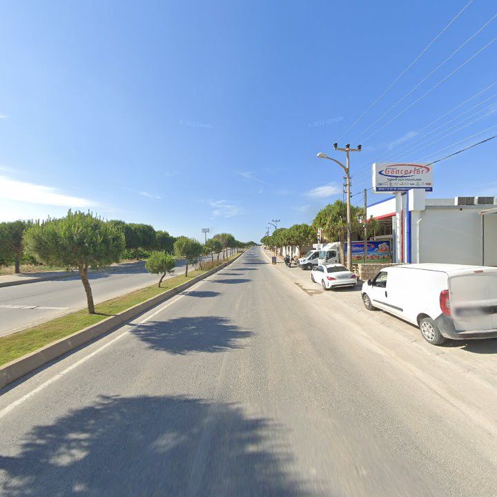 Fotoğraf 8