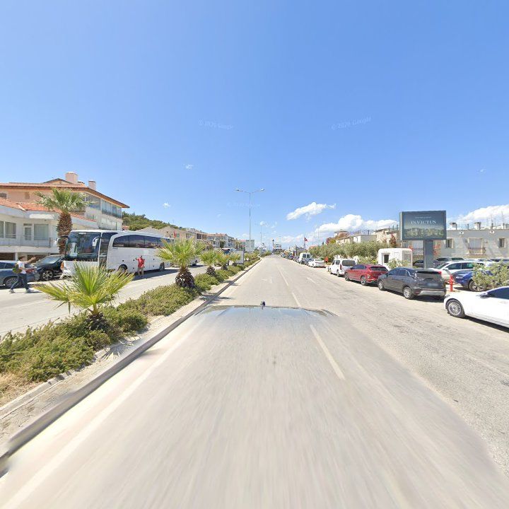 Fotoğraf 12