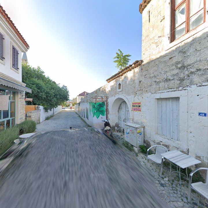 Fotoğraf 9