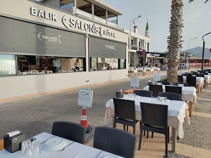 Salonis Balık-böcek