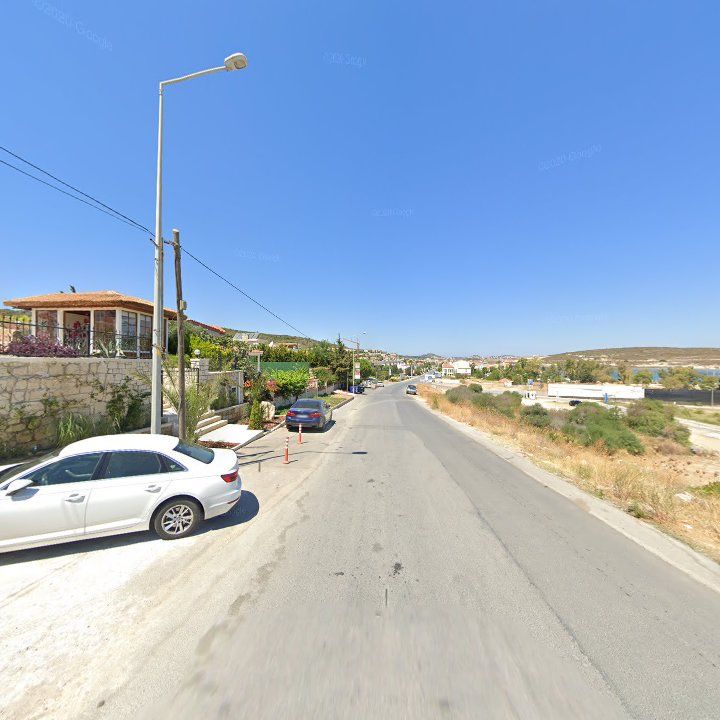 Fotoğraf 10