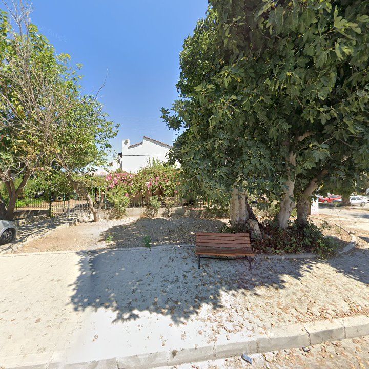 Fotoğraf 8