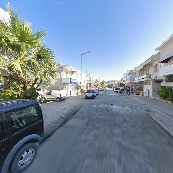 Fotoğraf 8