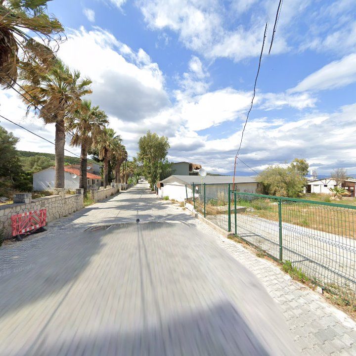 Fotoğraf 6