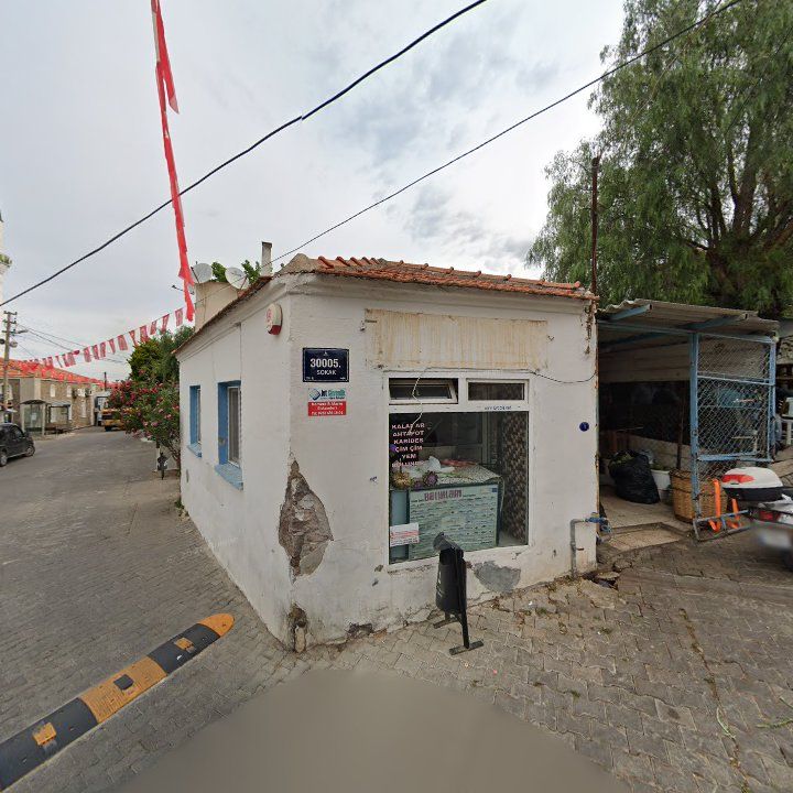 Fotoğraf 4
