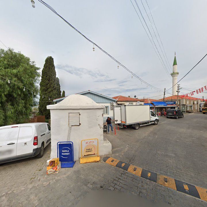 Fotoğraf 7