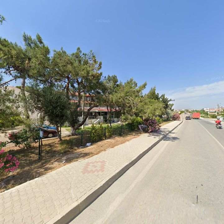 Fotoğraf 10