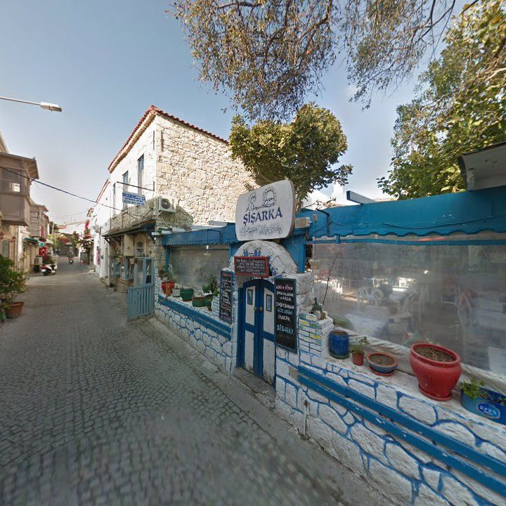 Fotoğraf 7