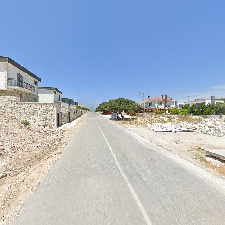 Fotoğraf 12