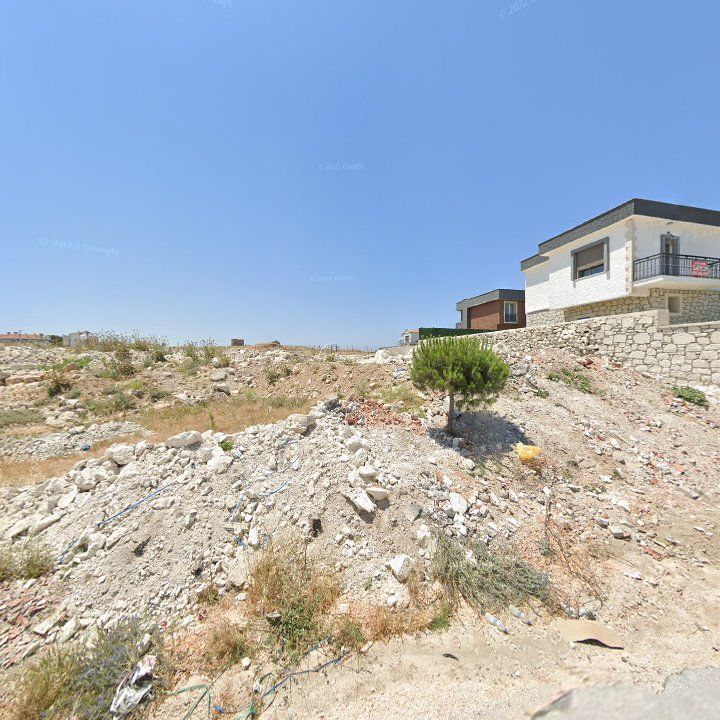 Fotoğraf 11