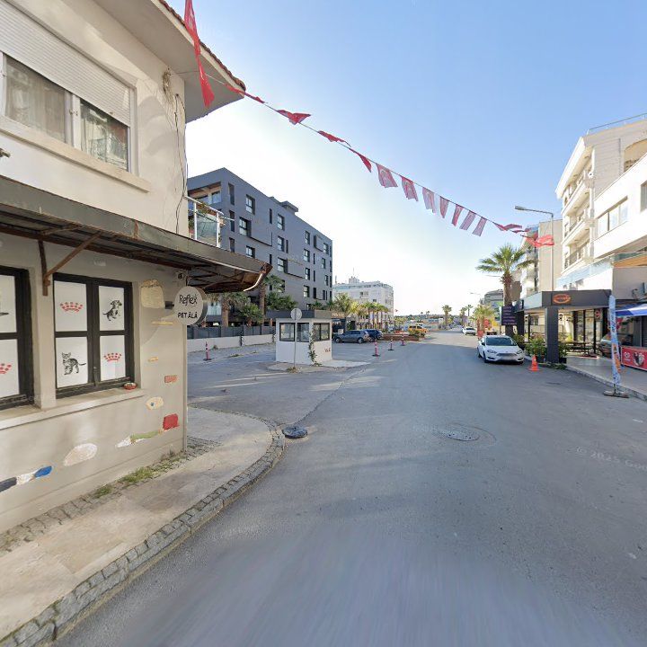 Fotoğraf 10