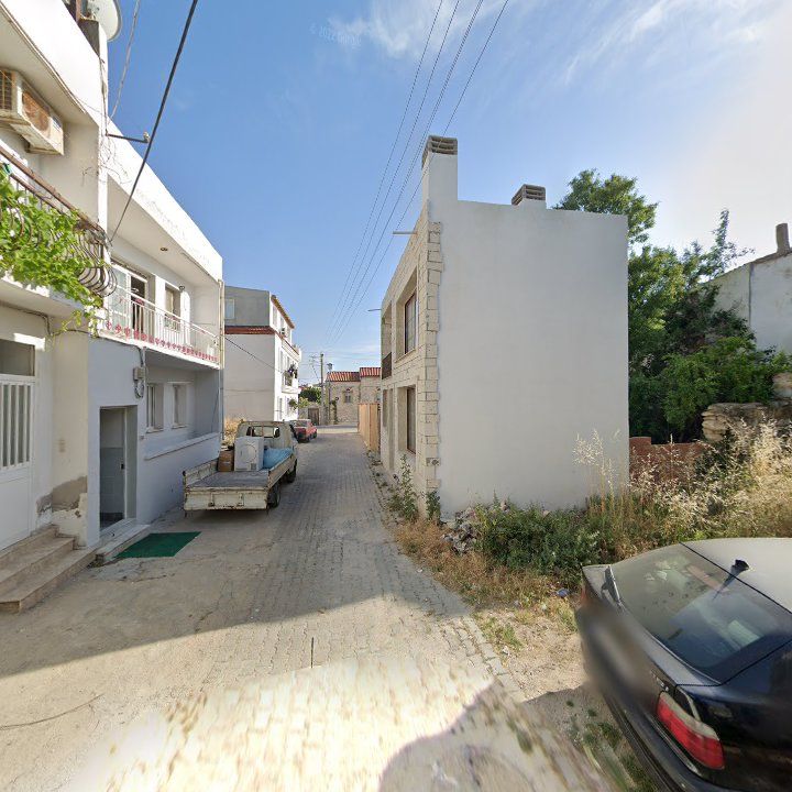 Fotoğraf 10