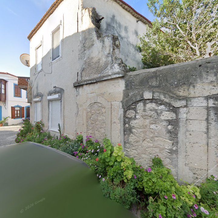 Fotoğraf 8