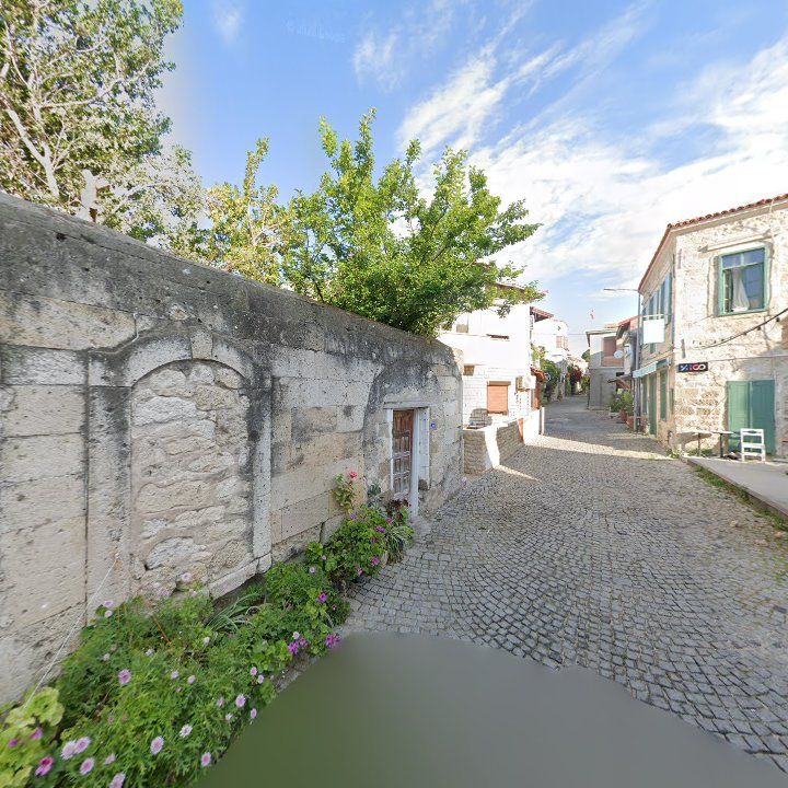 Fotoğraf 9