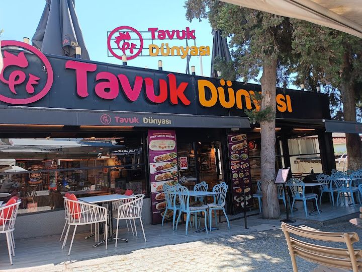 Tavuk dünyası alaçatı