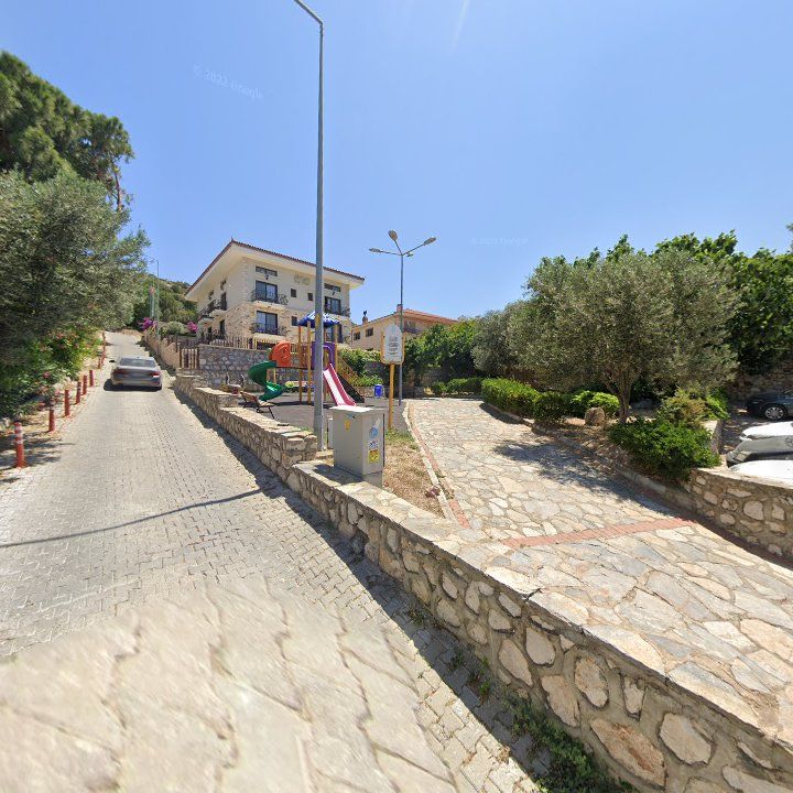 Fotoğraf 10