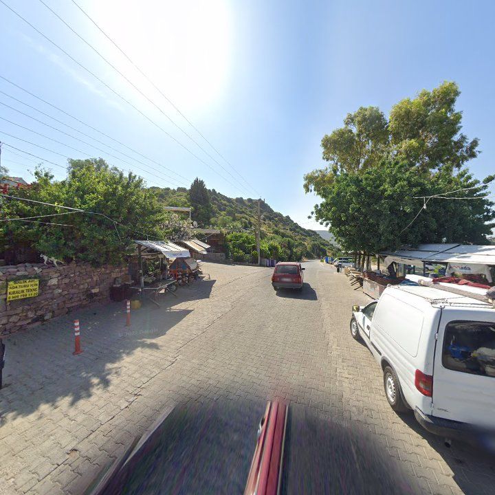 Fotoğraf 6