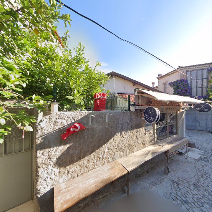 Fotoğraf 9