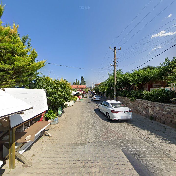 Fotoğraf 7