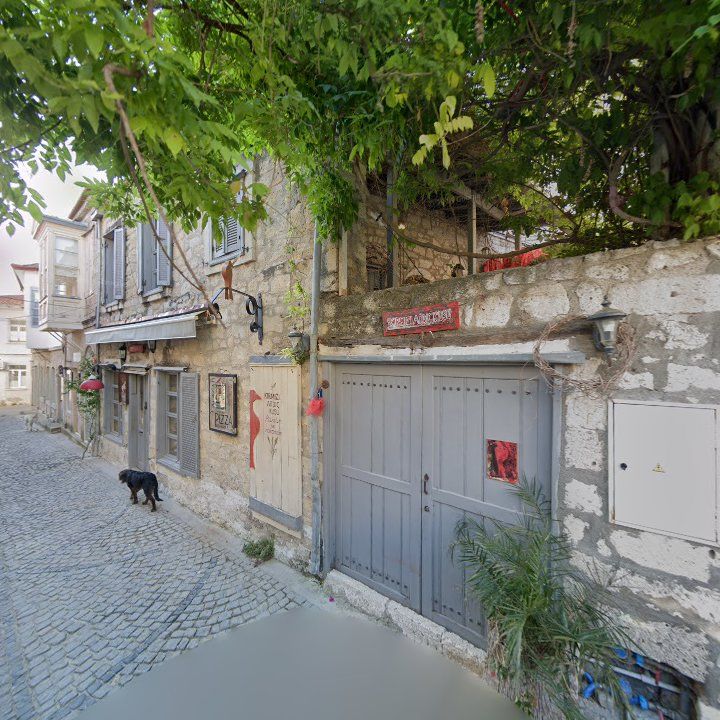 Fotoğraf 9