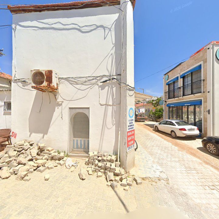 Fotoğraf 9