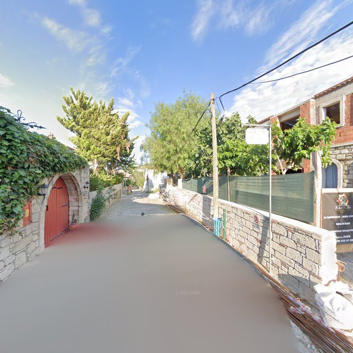 Fotoğraf 12