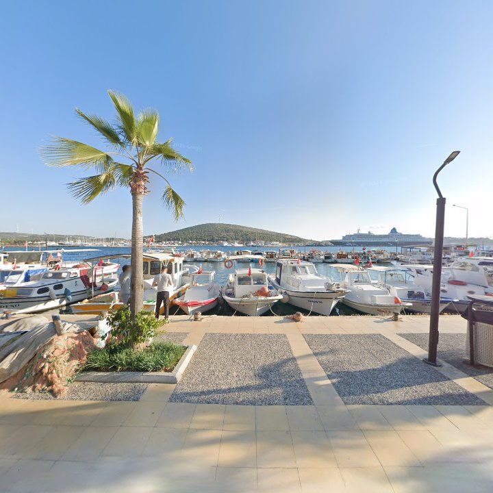 Fotoğraf 7