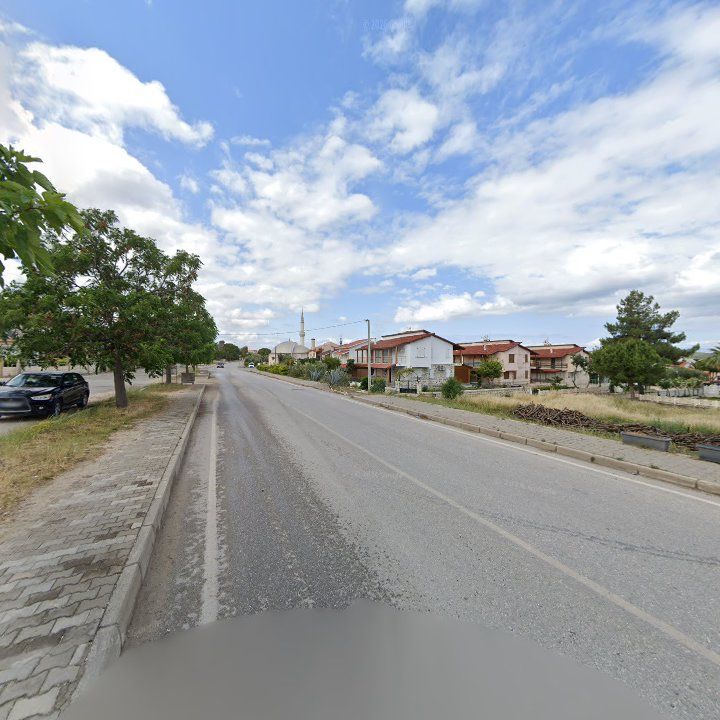 Fotoğraf 10