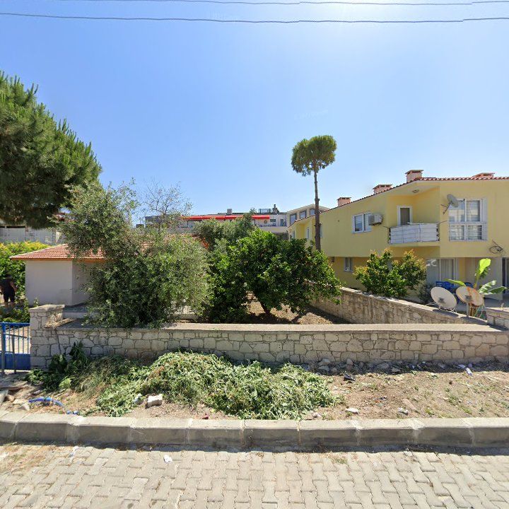Fotoğraf 7