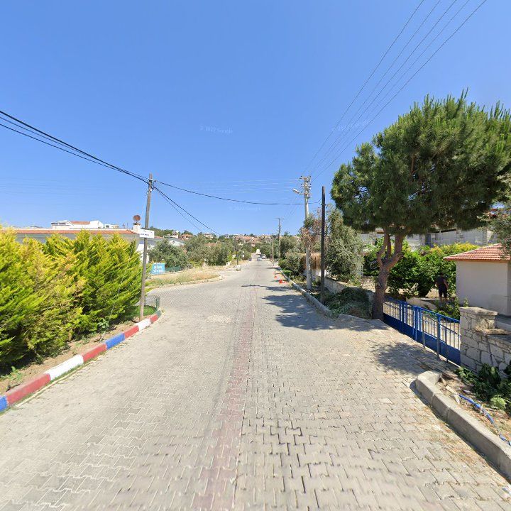 Fotoğraf 6