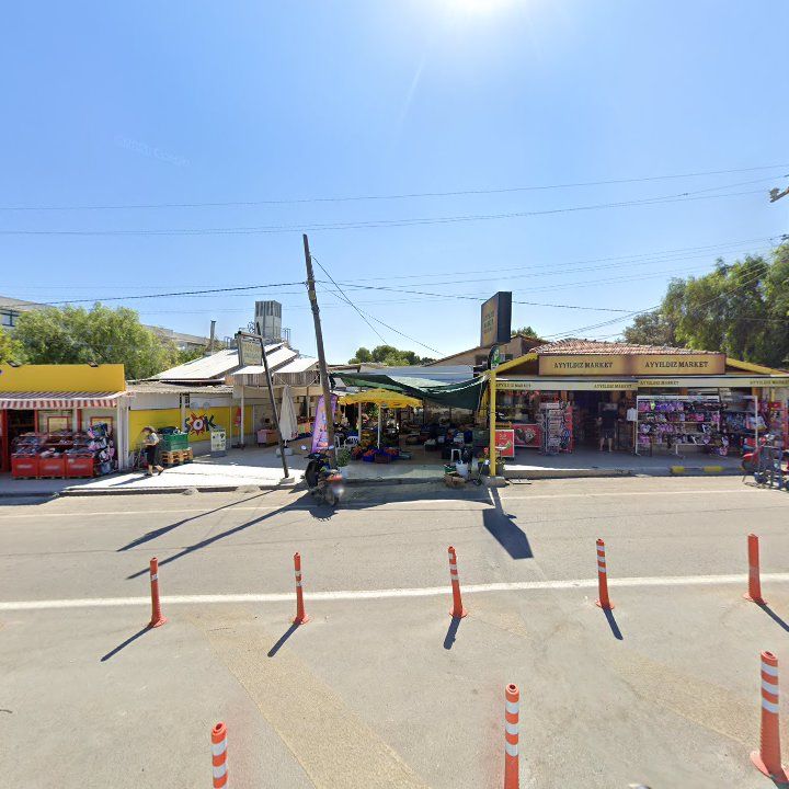 Fotoğraf 9