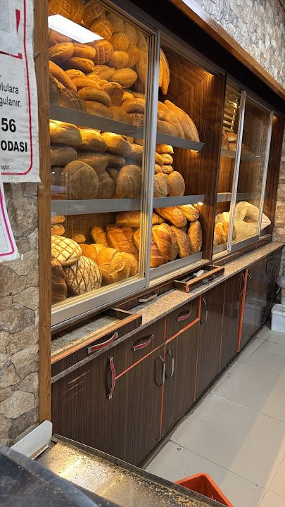 Fotoğraf 12