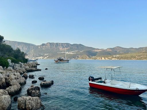 Yorum fotoğrafı 2
